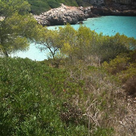 Finca Son Blat Porto Cristo Exterior photo