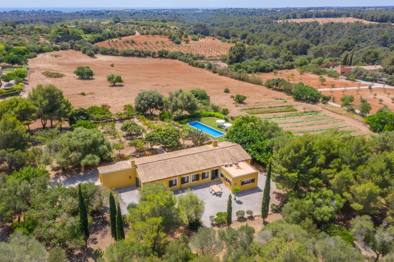 Finca Son Blat Porto Cristo Exterior photo